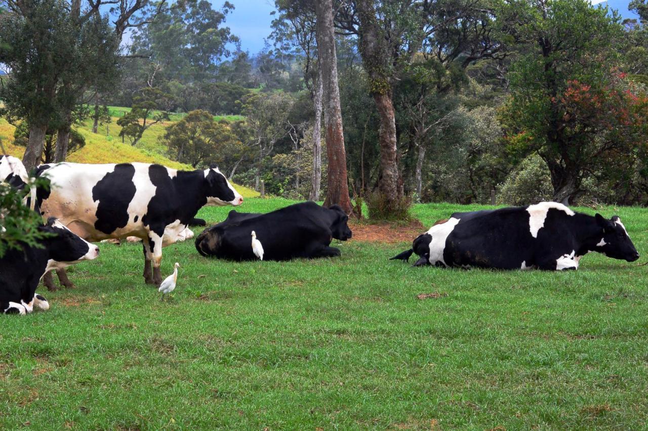 Fort Windshire Nuwara Eliya Exteriör bild